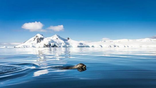 纯净且震撼的美 在南极赴一场最美的约会