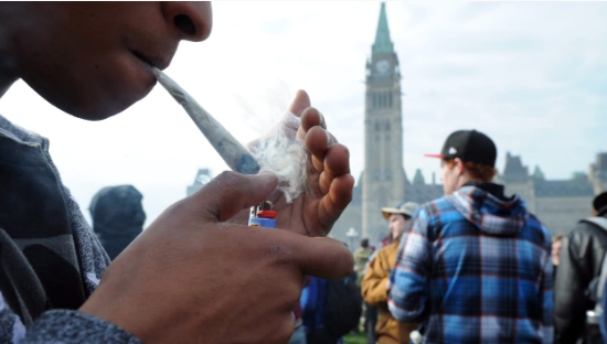 加拿大的大麻黑市仍然猖獗