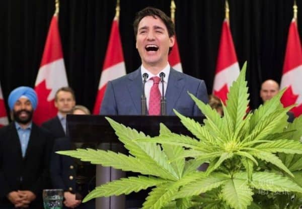 大麻合法化一年 温哥华的这顶黑帽子终于被摘了
