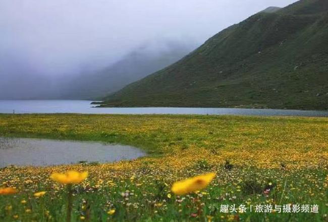 这片湖泊在中国水产丰富 一出国就寸草不生