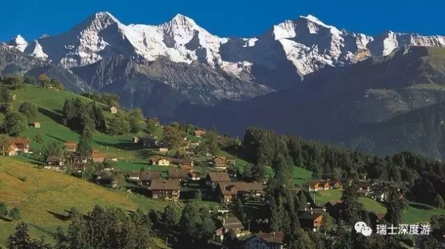 世界自然遗产瑞士少女峰-阿莱奇冰川