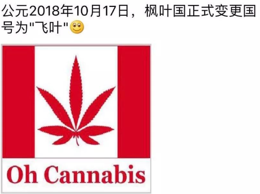 我的天！加拿大可食用大麻制品17日正式合法