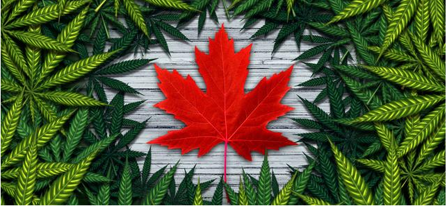 大麻食品来了，加拿大本周合法化 …家长当心