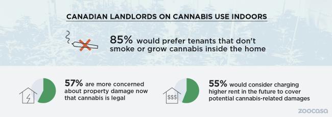 大麻合法化一周年 64%业主认为抽麻压低房价