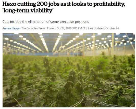 惨！不但政府卖大麻亏本，生产商利润也腰砍