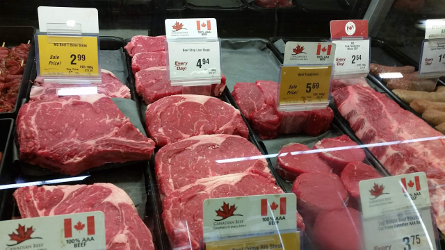 中国恢复进口因猪瘟危机？加拿大油菜籽仍被禁