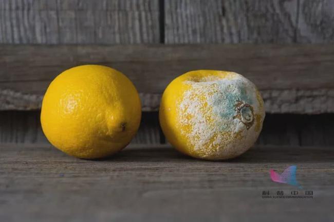 吓人！这3种水果竟会滋养癌细胞？