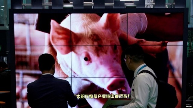 贸协谈判倒计时 中国豁免美大豆和猪肉关税