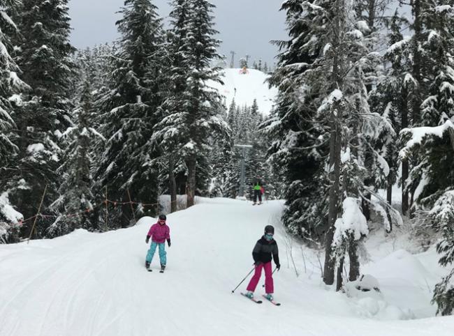 新的一年，来一场滑雪总动员吧！