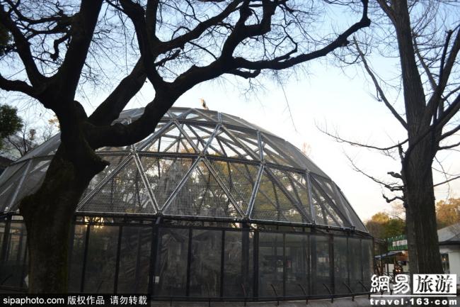带你看日本老牌动物园：大阪天王寺动物园