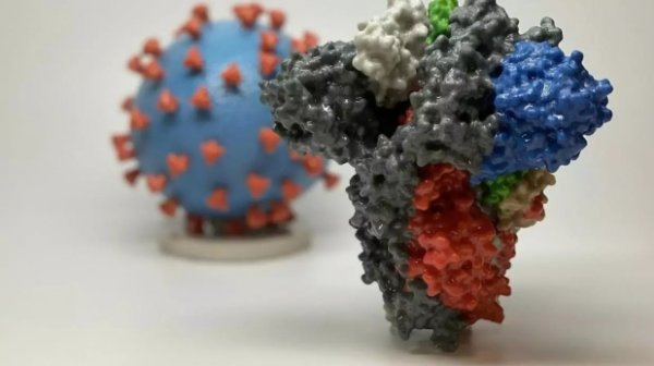 对付新型冠状病毒 荷兰研究人员发现新抗体