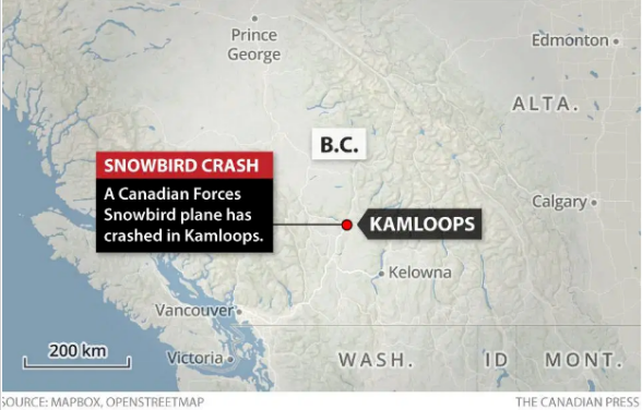突发：加拿大飞机冲向居民区坠毁！屋前火光熊熊