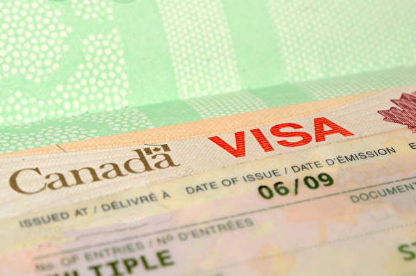 受疫情影响 加拿大一季度对华学生签证下降51%