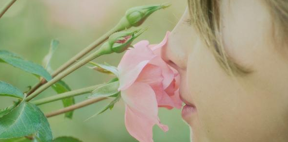 嗅觉突然受损或是新冠感染早期最显著症状