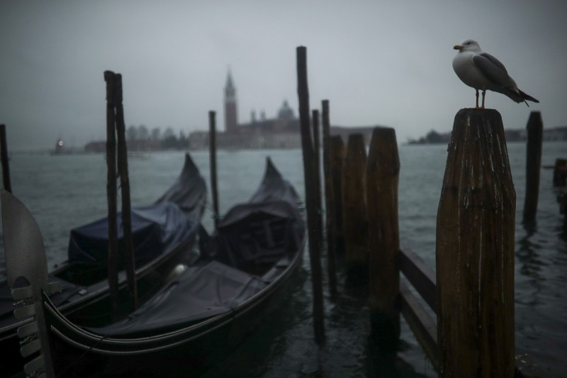 義大利威尼斯受疫情影響，人類足不出戶，魚類、鳥類開始出現。（美聯社）