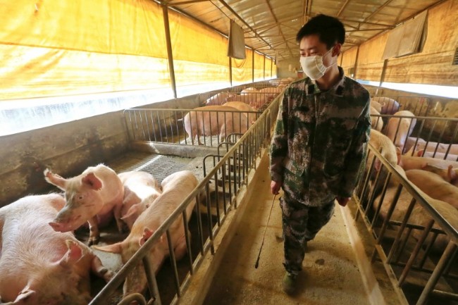 中国惊现新品种流感病毒 专家示警恐大爆发