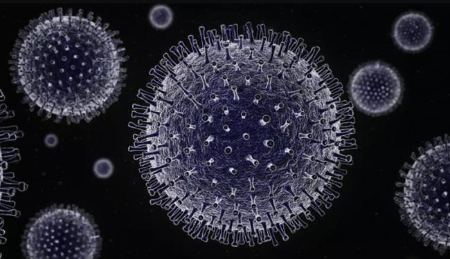 英媒：中国武汉实验室2013年发现类新冠病毒