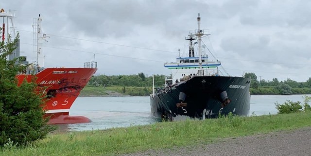 视频：安省运河上两艘货船迎头相撞