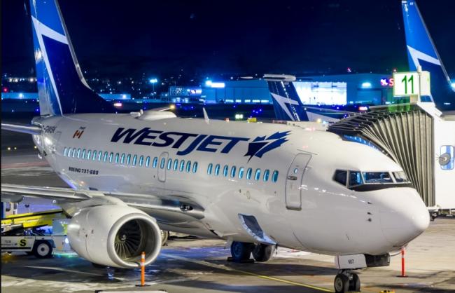 WestJet航空8月重开48条航线