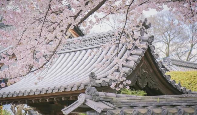 京都十地 去千年古都必去的打卡景点