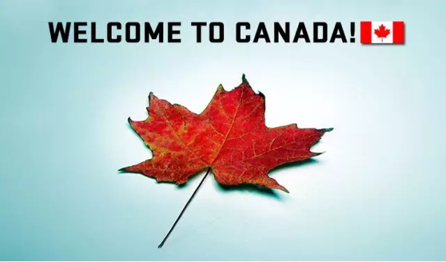 备胎党加拿大出手了：美国不想要你，我们要！