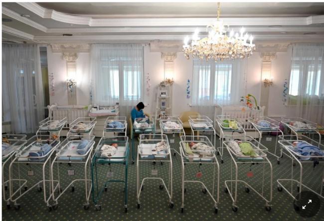 代孕众生相：人体器官买卖 数百婴儿被迫滞留