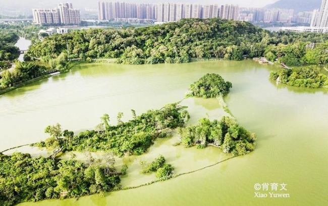 肇庆星湖湿地公园 媲美杭州西湖