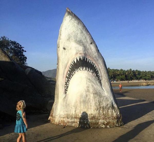 印海滩有一块奇特的大白鲨巨石 成为网红打卡胜地