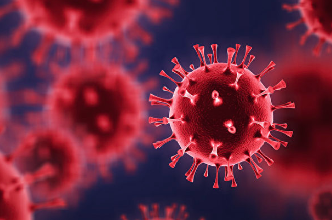 美国发现七种新冠病毒变体 传染性或更强