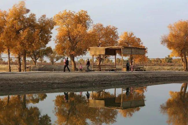 新疆罗布人村寨：不种五谷 小舟捕鱼为食民族村