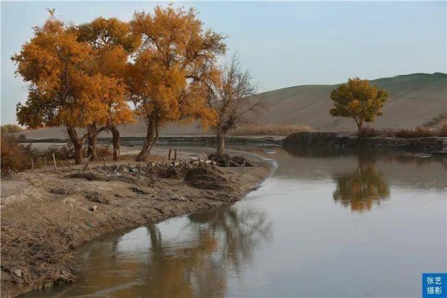 新疆罗布人村寨：不种五谷 小舟捕鱼为食民族村