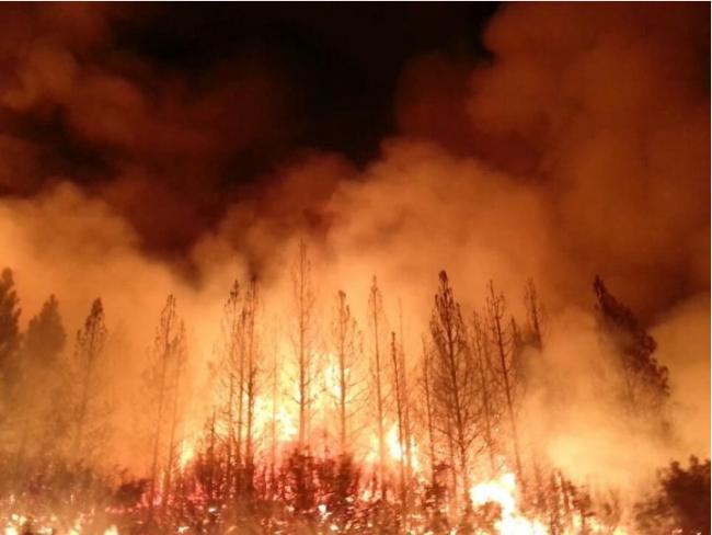 BC省至今活跃山火至少106 Lytton山火仍未受控