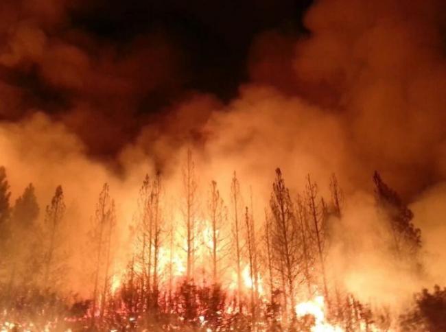 最新：卑诗至少有274宗活跃山火 84宗未受控