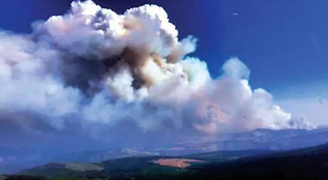 卑诗245山火仍在烧 较前10年平均45%