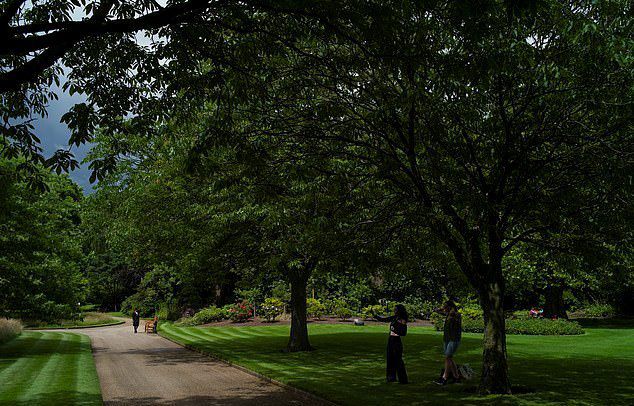 英国白金汉宫后花园开放 游客去过之后吐槽