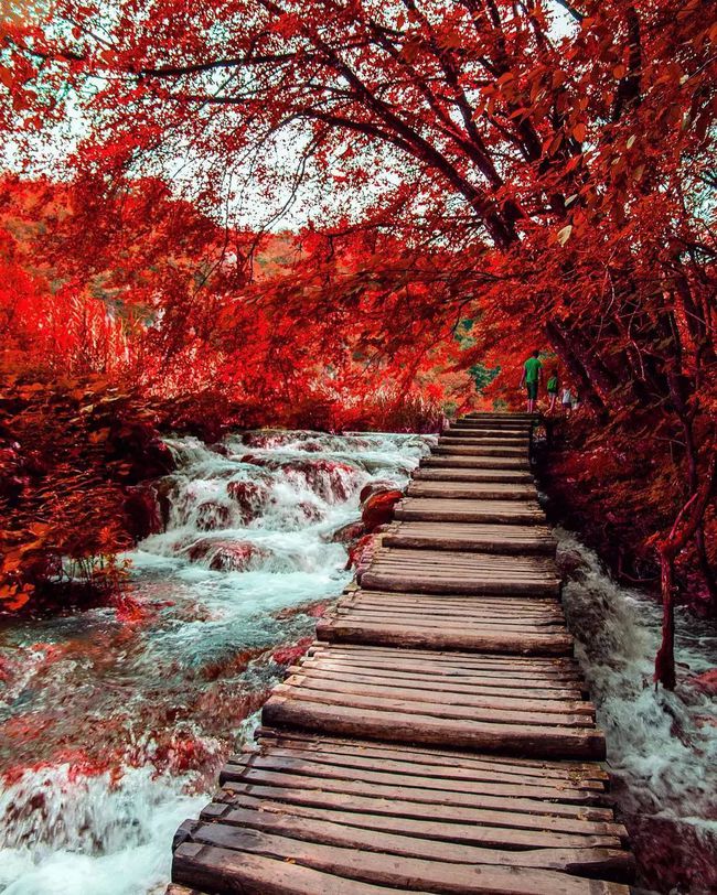 世界各地的秋天摄影 就像一幅浓墨重彩的风景画