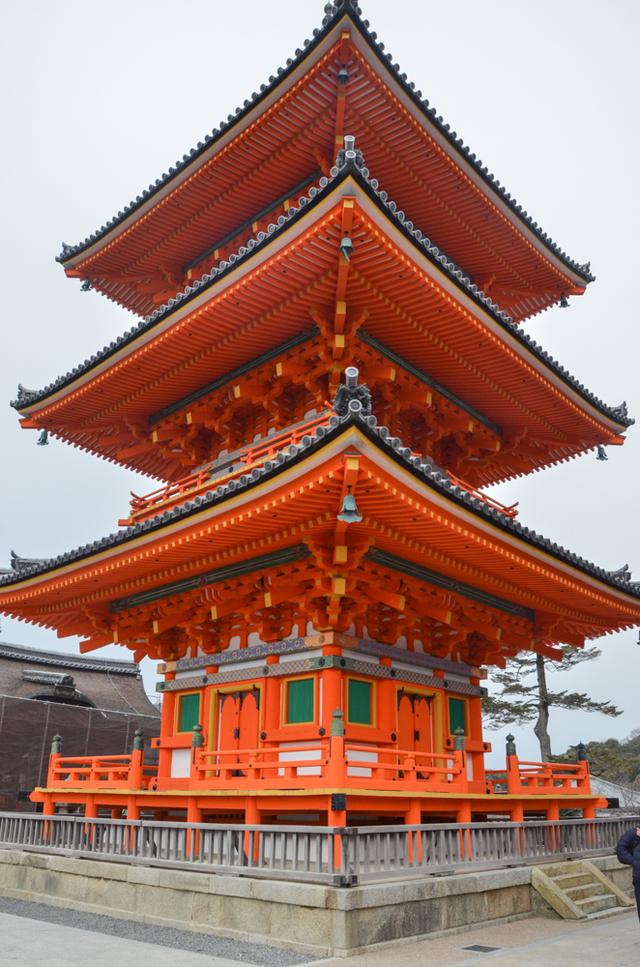来京都 一定要去的一座寺庙 保证你不后悔