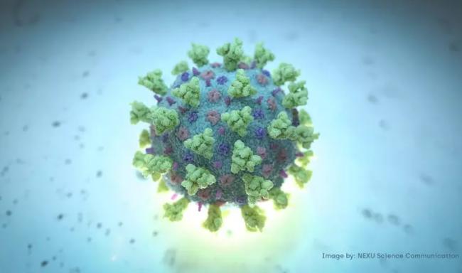 最新研究：感染新冠病毒可能让肾脏老30年
