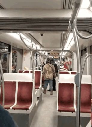 加国女子地铁上朝亚裔男子吐口水、大骂：滚下车