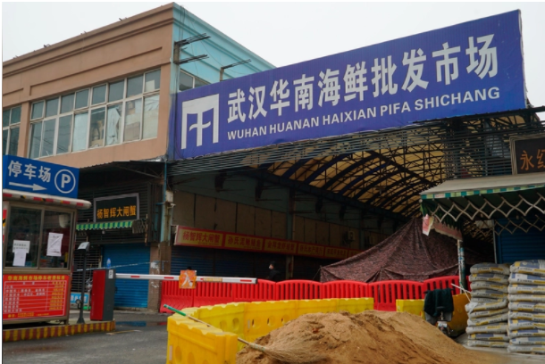 中国研究称 华南海鲜市场新冠非来自野生动物