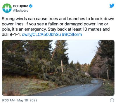 8级大风横扫大温！参天巨树被吹倒 3万户断电
