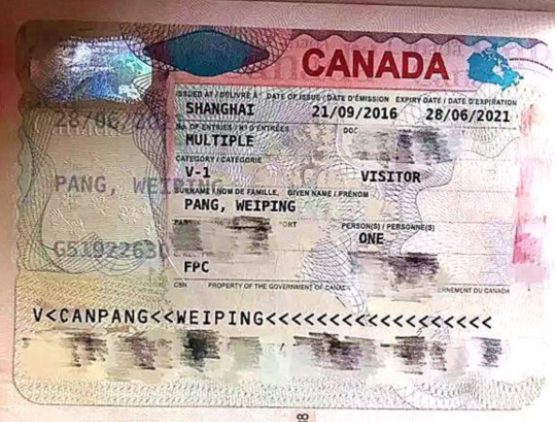 利好！加拿大或延长父母超级签证 一次可待满5年