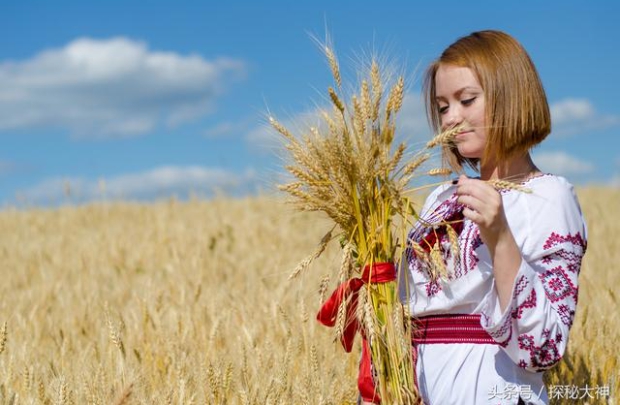 粮食危机告急：全世界小麦储备仅剩10周