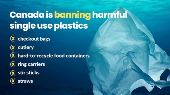 告别塑料污染：加拿大的环保限塑行动