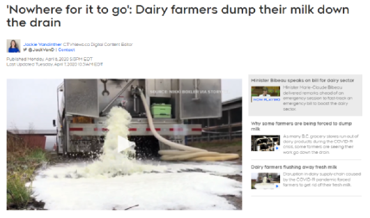 加拿大狂倒200万升牛奶 奶价飙 经济大萧条来了?