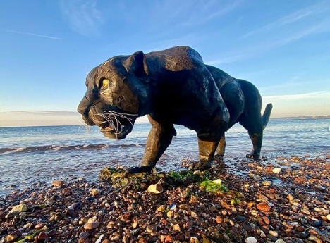 “黑豹”突现身英国海滩，路过游客一看惊呆了