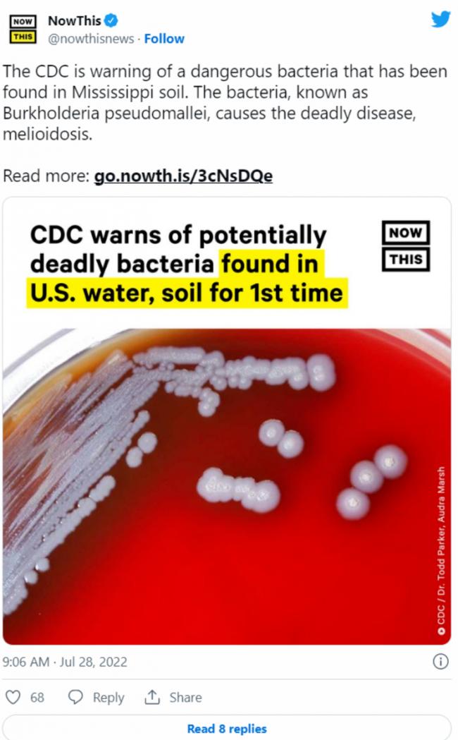 夺命细菌首现美国：致命率50%！世卫紧急呼吁