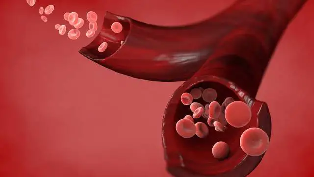 我们的血型很可能影响到你的心脏健康、血液疾病