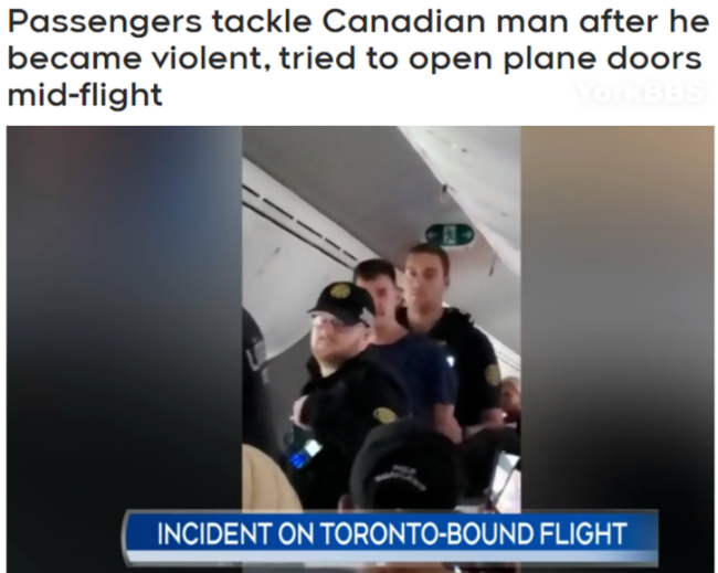 改道迫降！加拿大男子太能作：大闹飞机，袭击空乘！疯狂发威想打开舱门…