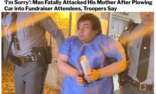 男子开车撞向人群，18人死伤 回家后又捶杀母亲